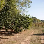 Gufo בית חווה